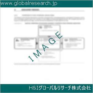 グローバルリサーチ調査資料のイメージ